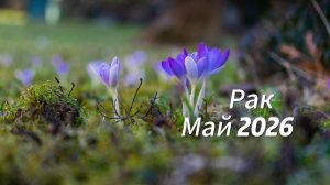 Прогноз для Раков на МаЙ 2026