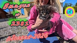 #Абхазия2026🌴 29.04.26г.🔥 Выпуск № 2381❗вчера +18°🌡ночью +12°🌡море +13,5°🐬