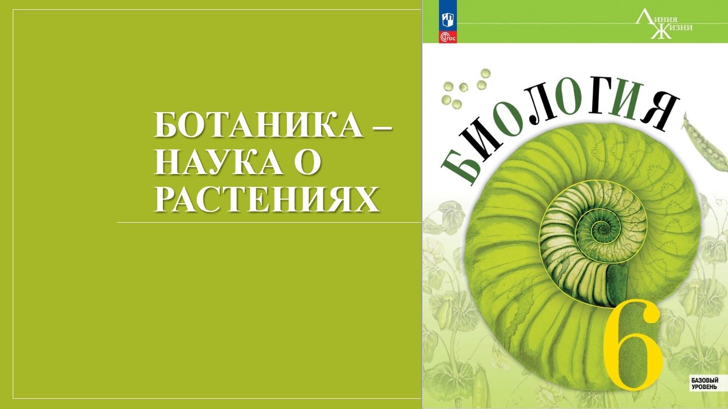 Урок 1. Ботаника – наука о растениях