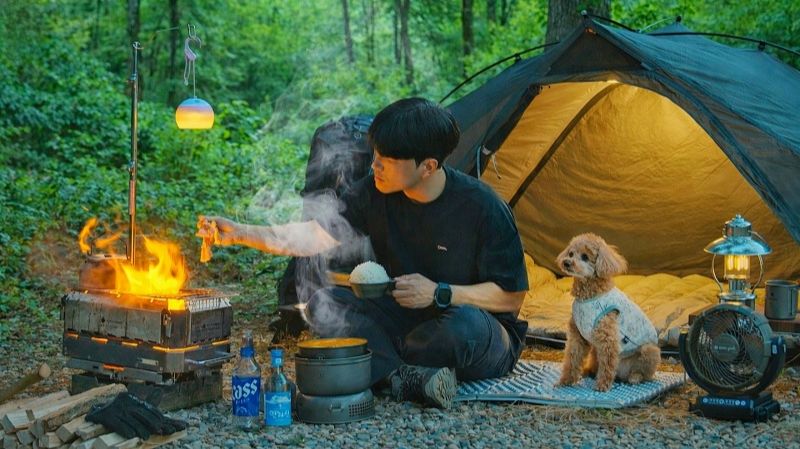 Кемпинг в лесу с моей собакой. Готовлю корейское булгоги из свинины. Бушкрафт