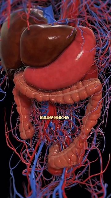 Увидели такие пятна на коже? Это псориаз. Смотри лекцию в шапке 