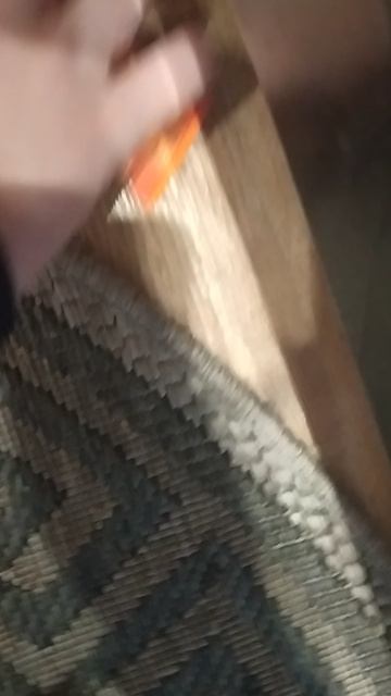 VID_20260429_190815.mp4