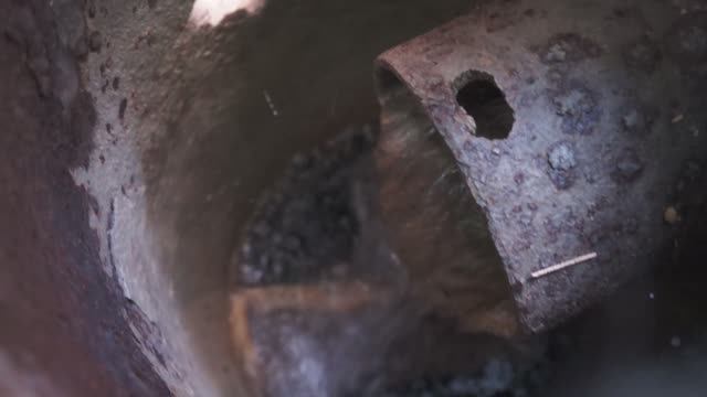 Родник Фазия