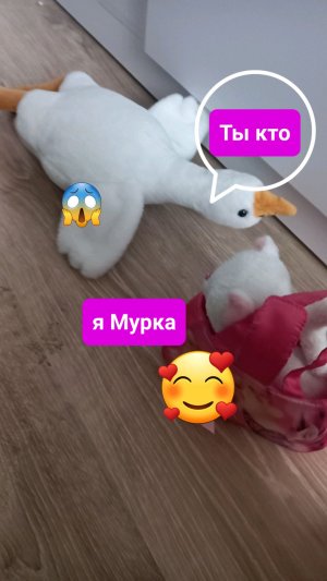 истории» мурляндии,,🐈
