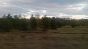 КРАСОТЫ С ОКНА ПОЕЗДА