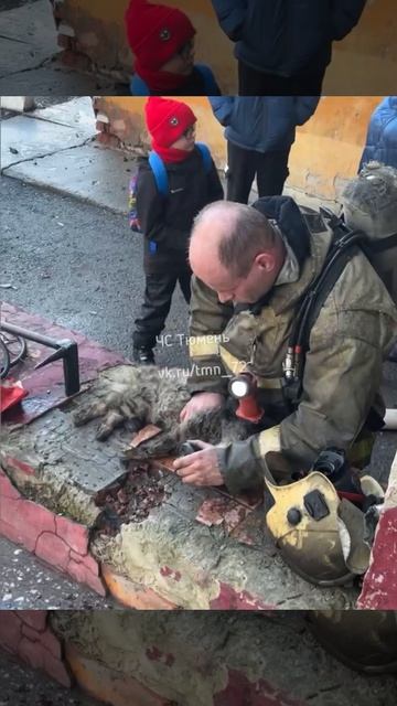 В Тюмени пожарный при тушении квартиры реанимировал двух кошек