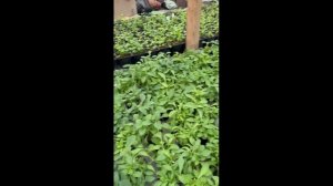 28.04.2026 снег