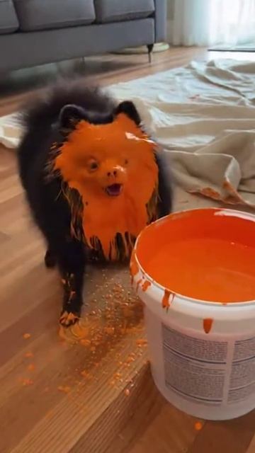 Захотелось стать рыжым