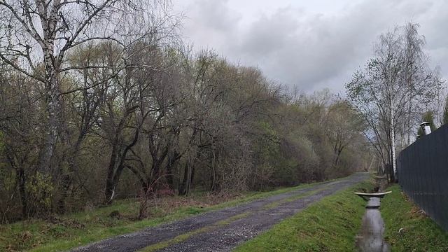 Обход владений. Дневник за 29 апреля