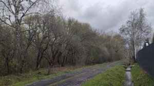 Обход «владений». Дневник за 29 апреля