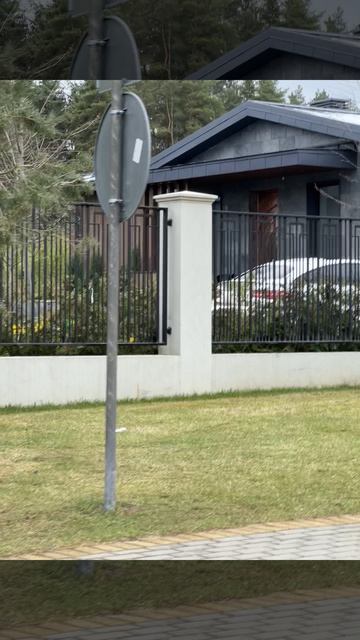 Разныи планкен