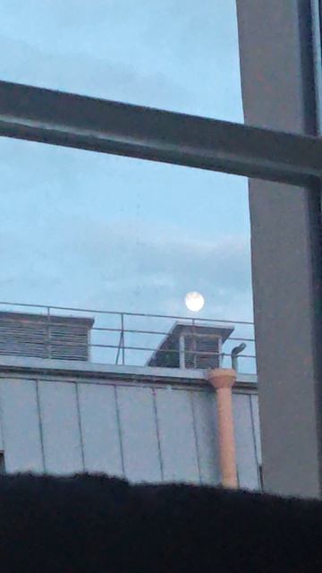 у нас в Санкт Петербурге вот такая луна 🌒