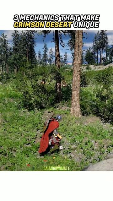 Crimson Desert Roasting Meat By Sunlight