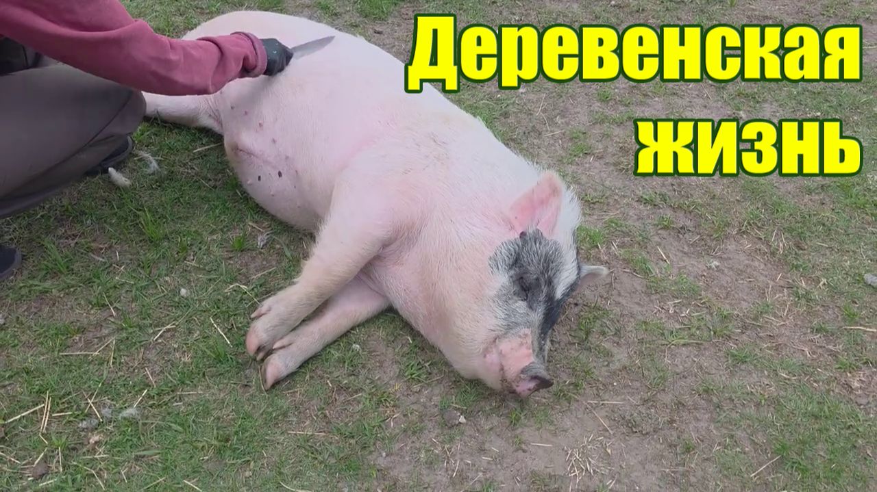 Три жены или один трактор? Жизнь в деревне - это труд, который, несмотря на рутину, дарит радость