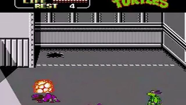 Teenage Mutant Ninja Turtles 2