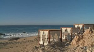 МУЗЫКА, КОТОРАЯ ТРОГАЕТ ДУШУ