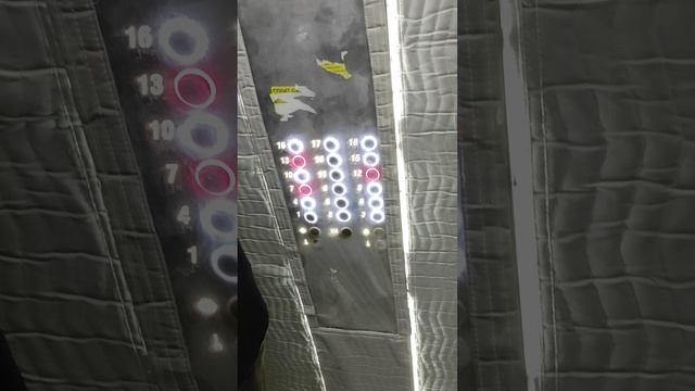 VID_20260429_165336.mp4