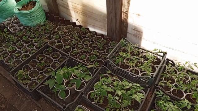 землю нужно подготовить