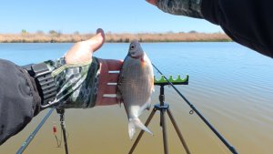 Поехали на платник… а рыба не клюёт 😅 Но отдых удался!