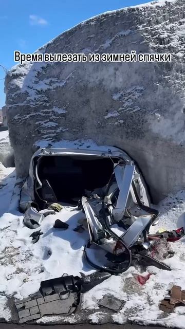 На Камчатке начали оттаивать «подснежники» — раздавленные сугробами машины