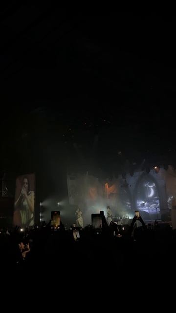 Живая музыка.