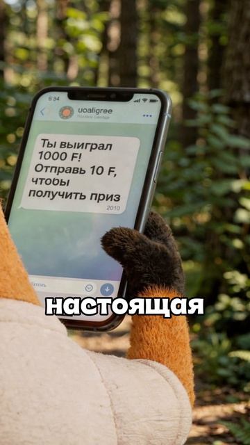 Действительно ли это были мошенники? Помоги Фоксику