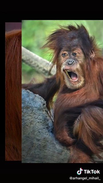 Полюби меня такой.. 