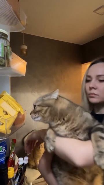 Автор видео: Syb_marina