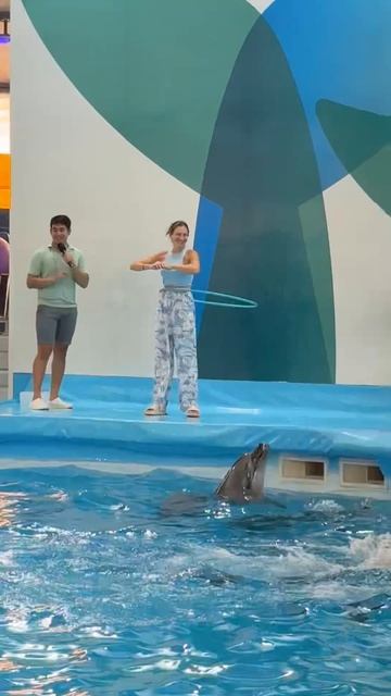 Дельфинарий в Паттайе