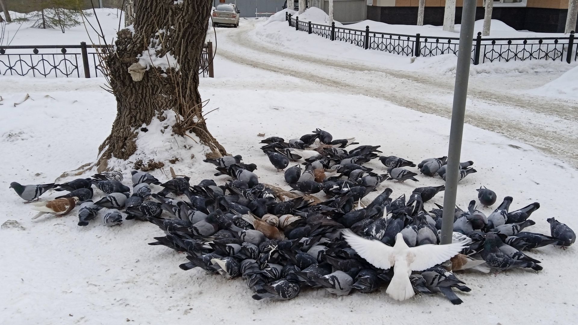 Гимн наступающей  весне на музыку автора