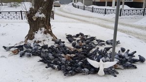 Гимн наступающей  весне (на музыку автора)