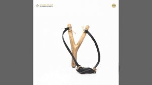 Рогатка российская (Россия)