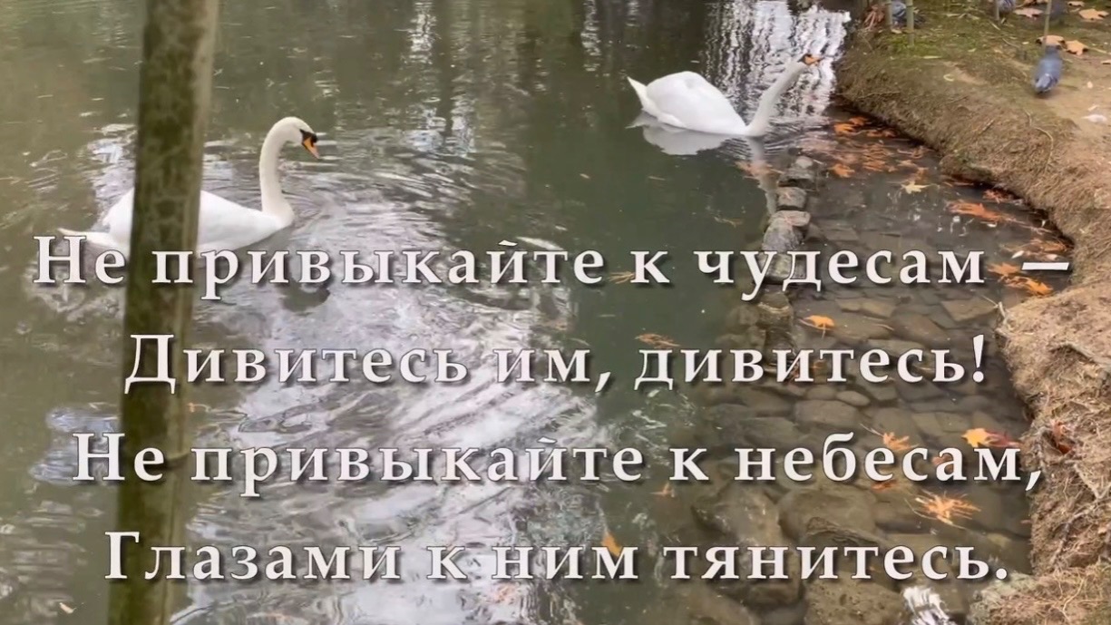 Доброго дня, Не привыкайте к чудесам...