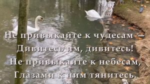Доброго дня, Не привыкайте к чудесам...