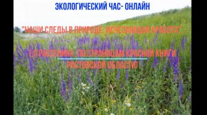 Экологический час-онлайн «Наши следы в природе: исчезающая красота»