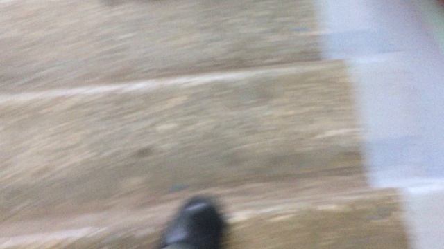 Теорема ЖКХ_Подъезд_2026.04.29_13-45