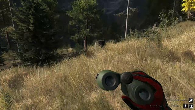 theHunter Classic - 2026-04-29 20-38-55