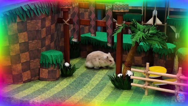 Приключения хомячка в мире кино! 7