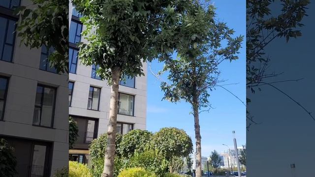 YouCut_20230910_1534519281