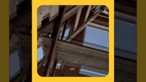 1000057253.mp4 (Собака наблюдает за устройством лестницы на 2-ой этаж в доме А-фрейм)