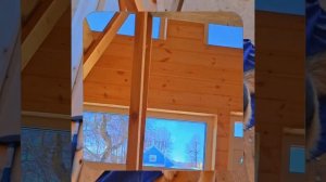 1000057256.mp4 (Собака наблюдает за устройством лестницы на 2-ой этаж в доме А-фрейм)