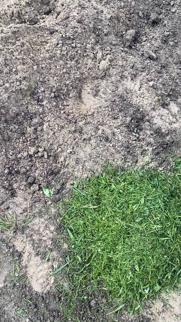 Как сделать землю рыхлой