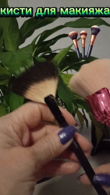 Кисти для макияжа