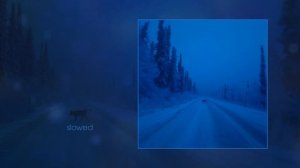 lonely. - nature (Официальная премьера трека)