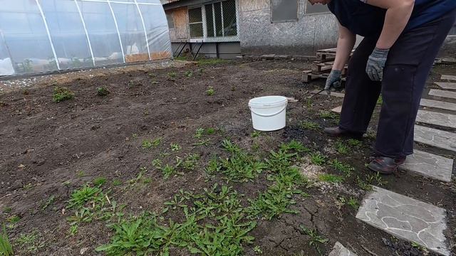 Весенние работы, мой огород