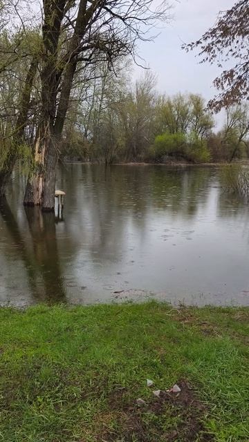 Съездили подышать свежим воздухом