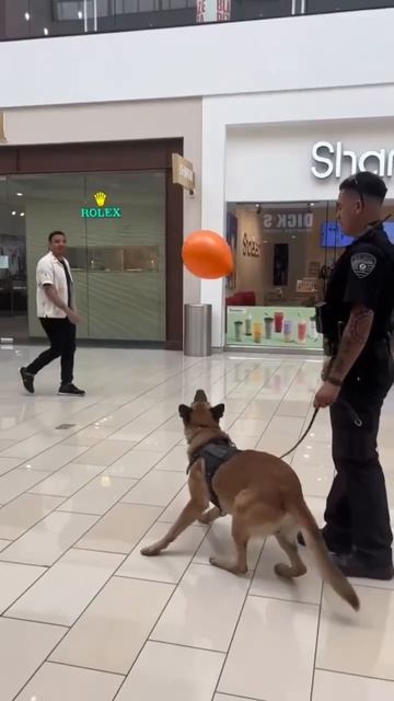 В свободное от работы время