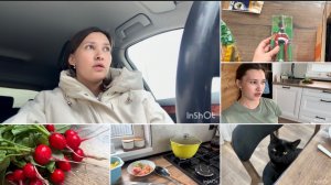 Записались к ортодонту/ садовые покупки/ готовлю и отвечаю