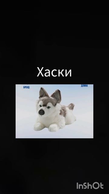 какую?