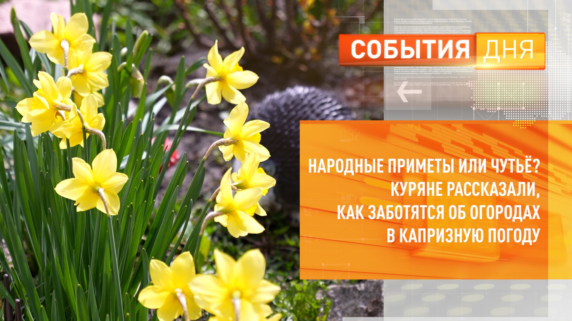 Народные приметы или чутьё Куряне рассказали, как заботятся об огородах в капризную погоду